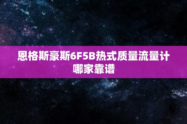 恩格斯豪斯6F5B热式质量流量计哪家靠谱