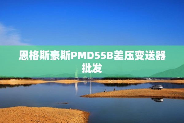 恩格斯豪斯PMD55B差压变送器批发