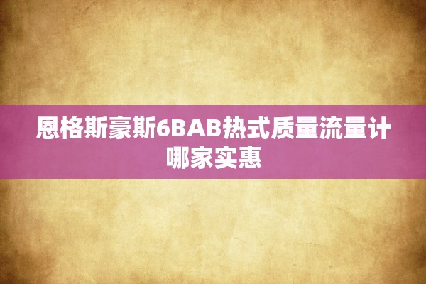 恩格斯豪斯6BAB热式质量流量计哪家实惠