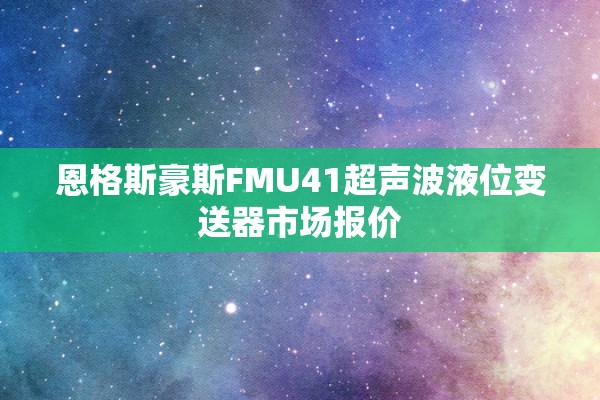 恩格斯豪斯FMU41超声波液位变送器市场报价