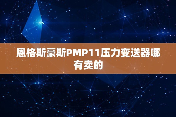恩格斯豪斯PMP11压力变送器哪有卖的