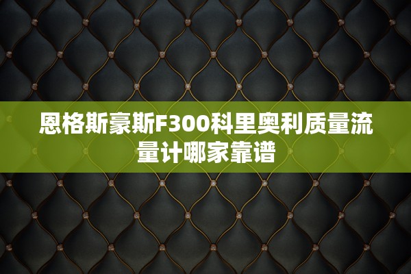 恩格斯豪斯F300科里奥利质量流量计哪家靠谱