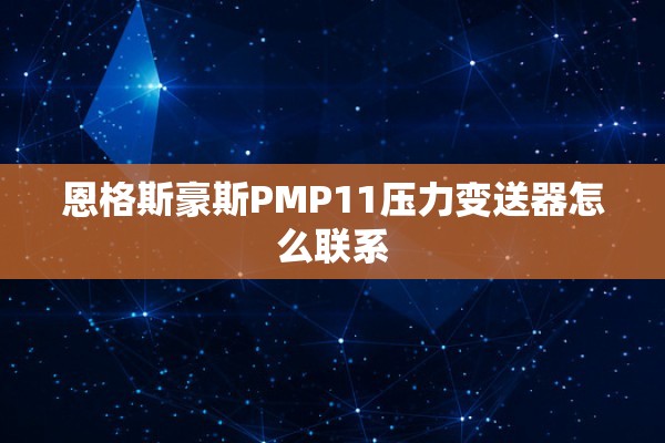恩格斯豪斯PMP11压力变送器怎么联系