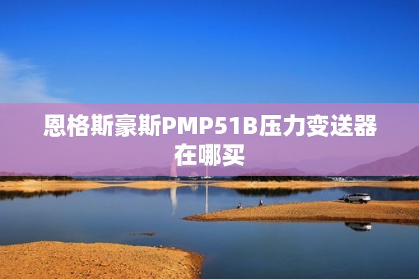 恩格斯豪斯PMP51B压力变送器在哪买