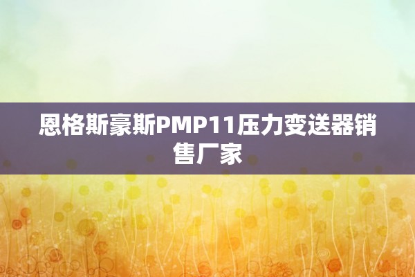 恩格斯豪斯PMP11压力变送器销售厂家
