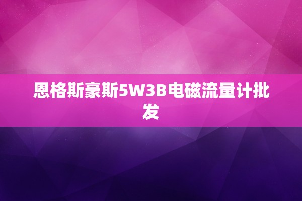 恩格斯豪斯5W3B电磁流量计批发