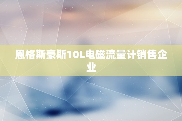 恩格斯豪斯10L电磁流量计销售企业