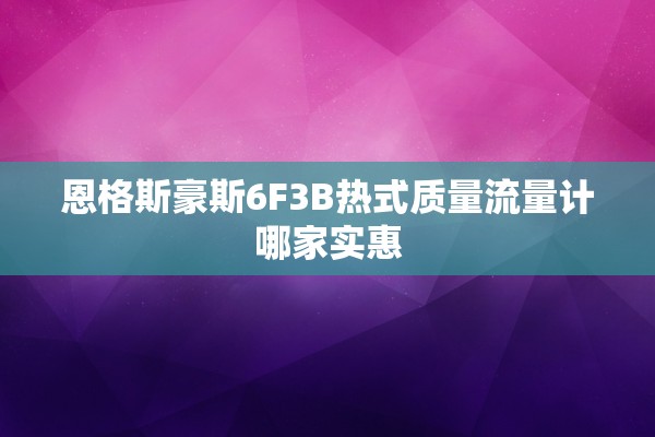 恩格斯豪斯6F3B热式质量流量计哪家实惠