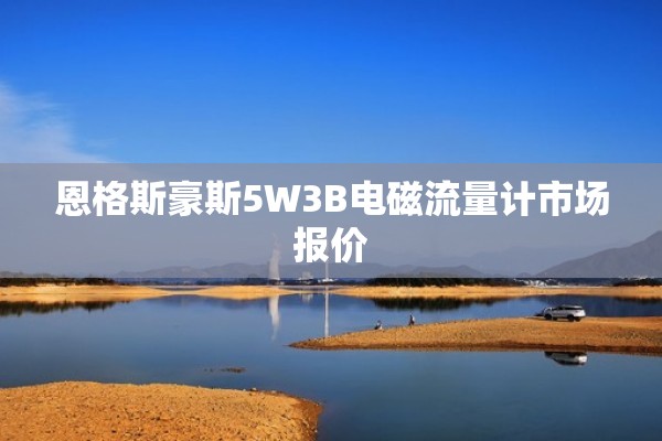 恩格斯豪斯5W3B电磁流量计市场报价