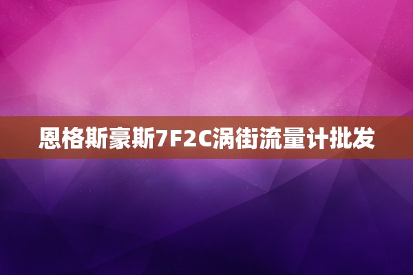 恩格斯豪斯7F2C涡街流量计批发