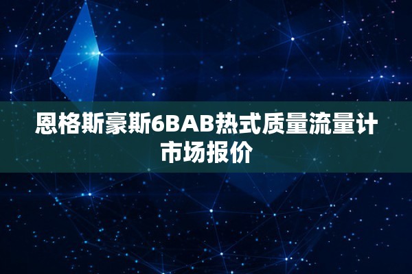恩格斯豪斯6BAB热式质量流量计市场报价