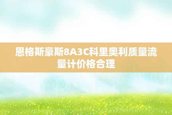 恩格斯豪斯8A3C科里奥利质量流量计价格合理