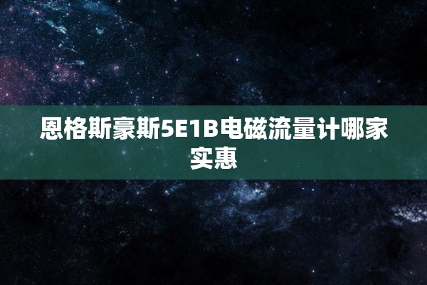 恩格斯豪斯5E1B电磁流量计哪家实惠