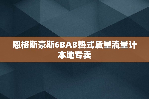 恩格斯豪斯6BAB热式质量流量计本地专卖
