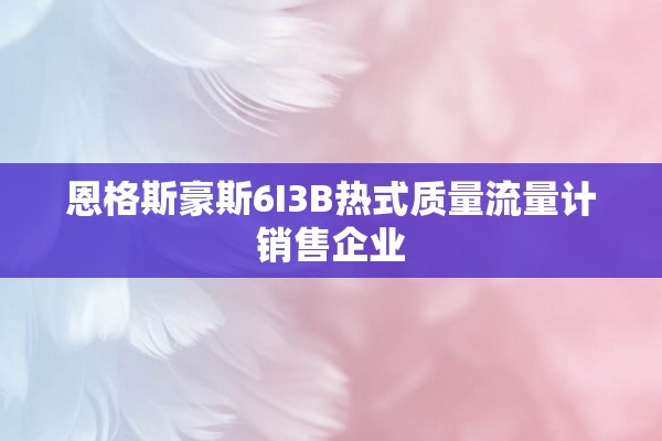 恩格斯豪斯6I3B热式质量流量计销售企业