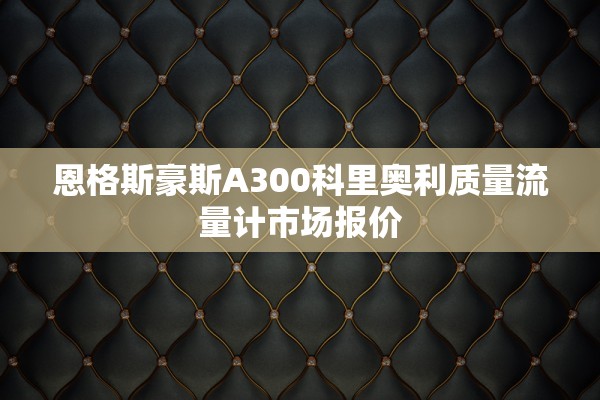 恩格斯豪斯A300科里奥利质量流量计市场报价
