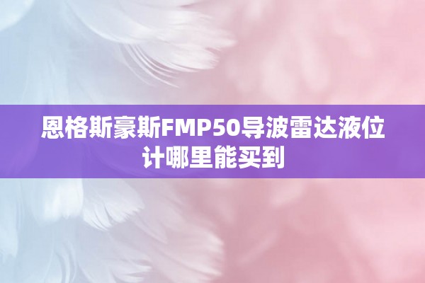 恩格斯豪斯FMP50导波雷达液位计哪里能买到
