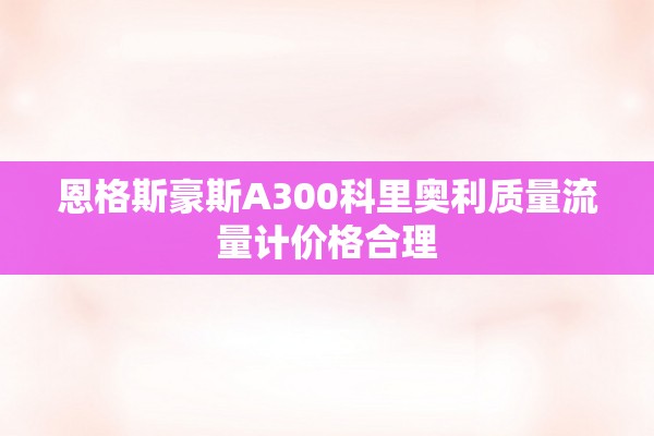 恩格斯豪斯A300科里奥利质量流量计价格合理