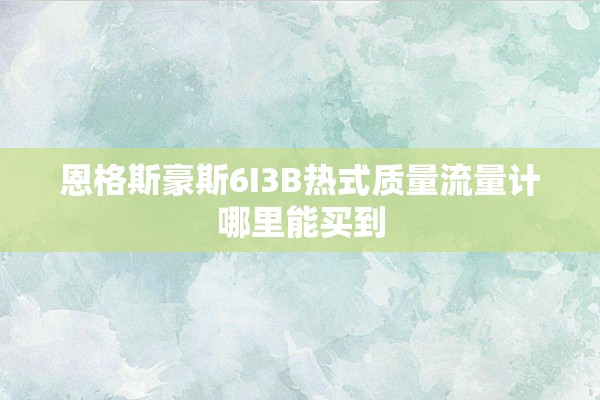 恩格斯豪斯6I3B热式质量流量计哪里能买到