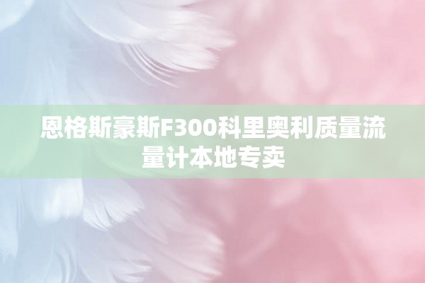恩格斯豪斯F300科里奥利质量流量计本地专卖
