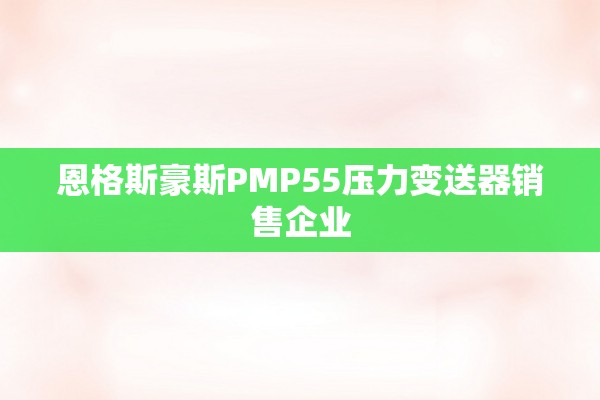 恩格斯豪斯PMP55压力变送器销售企业