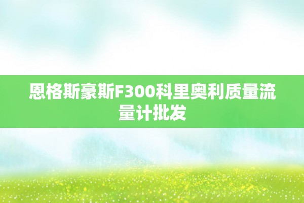 恩格斯豪斯F300科里奥利质量流量计批发