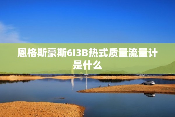 恩格斯豪斯6I3B热式质量流量计是什么