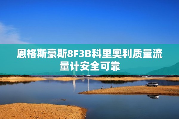 恩格斯豪斯8F3B科里奥利质量流量计安全可靠