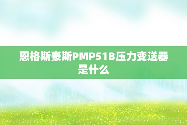 恩格斯豪斯PMP51B压力变送器是什么