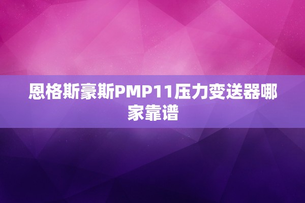 恩格斯豪斯PMP11压力变送器哪家靠谱