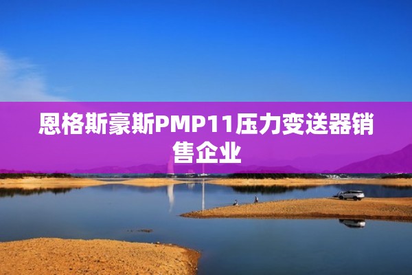 恩格斯豪斯PMP11压力变送器销售企业