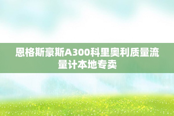 恩格斯豪斯A300科里奥利质量流量计本地专卖