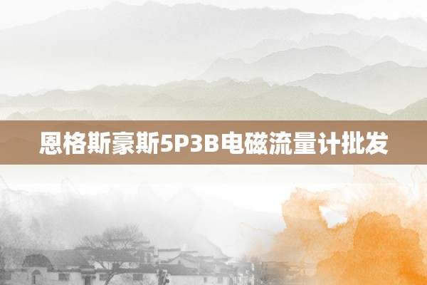 恩格斯豪斯5P3B电磁流量计批发
