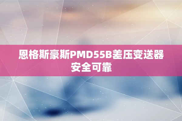 恩格斯豪斯PMD55B差压变送器安全可靠