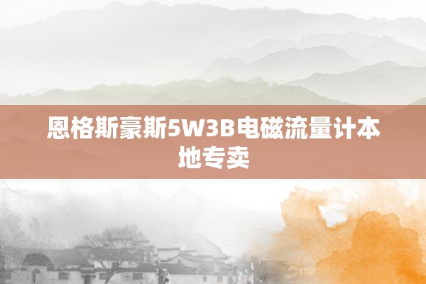 恩格斯豪斯5W3B电磁流量计本地专卖