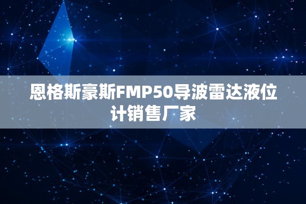 恩格斯豪斯FMP50导波雷达液位计销售厂家