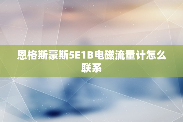 恩格斯豪斯5E1B电磁流量计怎么联系