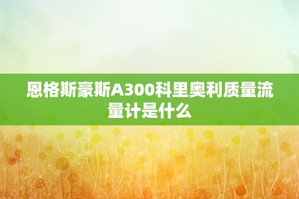 恩格斯豪斯A300科里奥利质量流量计是什么