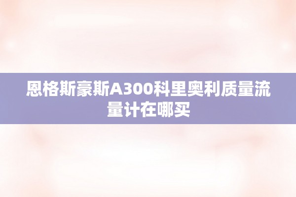 恩格斯豪斯A300科里奥利质量流量计在哪买