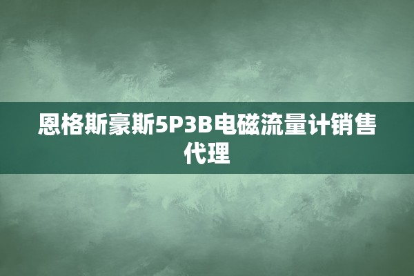 恩格斯豪斯5P3B电磁流量计销售代理
