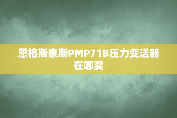 恩格斯豪斯PMP71B压力变送器在哪买