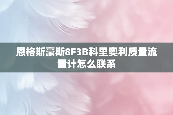 恩格斯豪斯8F3B科里奥利质量流量计怎么联系