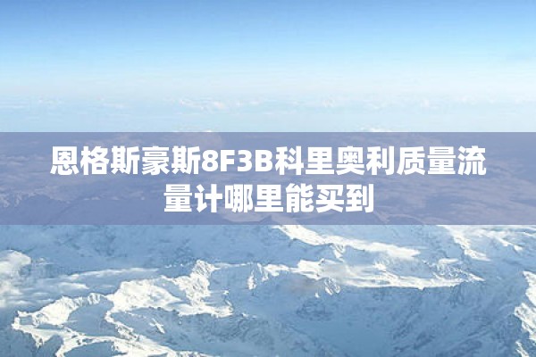 恩格斯豪斯8F3B科里奥利质量流量计哪里能买到