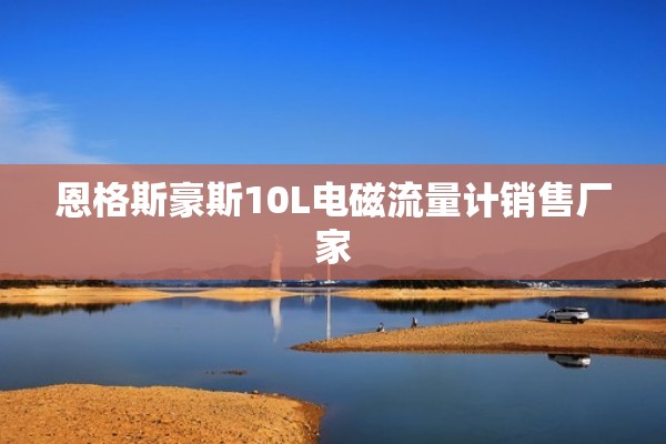 恩格斯豪斯10L电磁流量计销售厂家