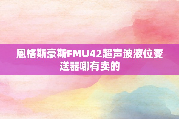 恩格斯豪斯FMU42超声波液位变送器哪有卖的