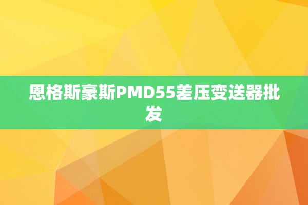 恩格斯豪斯PMD55差压变送器批发