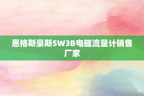 恩格斯豪斯5W3B电磁流量计销售厂家