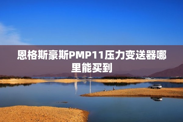 恩格斯豪斯PMP11压力变送器哪里能买到