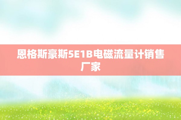 恩格斯豪斯5E1B电磁流量计销售厂家