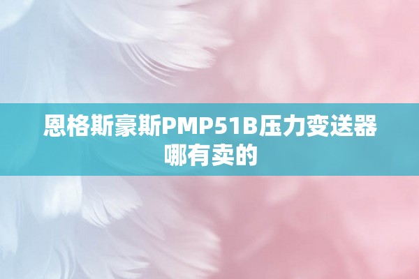 恩格斯豪斯PMP51B压力变送器哪有卖的